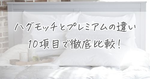ハグモッチとプレミアムの違いを10項目で徹底比較！