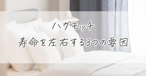 ハグモッチの寿命を左右する3つの要因