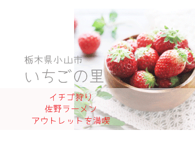 栃木県いちごの里 イチゴ狩りと佐野ラーメン アウトレット満喫 40歳からの美活ライフ
