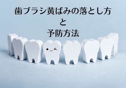 歯ブラシの黄ばみの原因は？落とし方や交換目安についても調査！