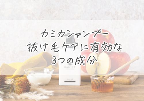 カミカ（KAMIKA）シャンプーが抜け毛ケアに有効な3つの成分