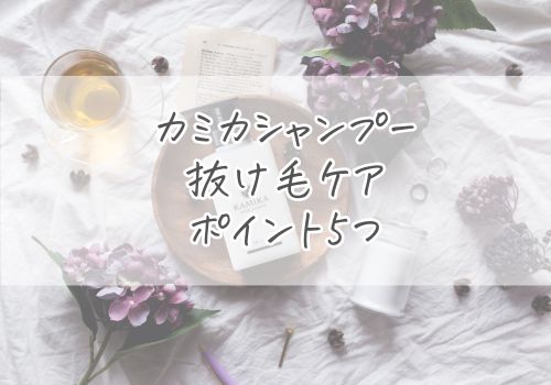カミカシャンプーを使った抜け毛ケアのポイント5つ