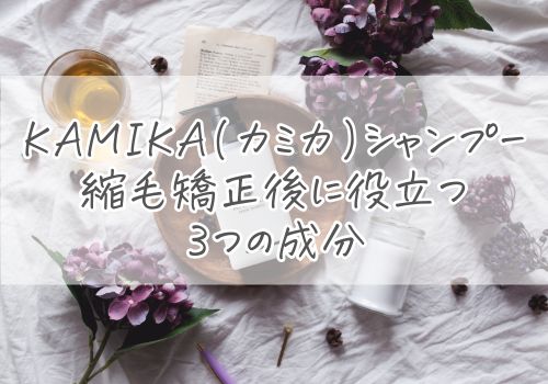 KAMIKA(カミカ)シャンプーに含まれる縮毛矯正後に役立つ３つの成分