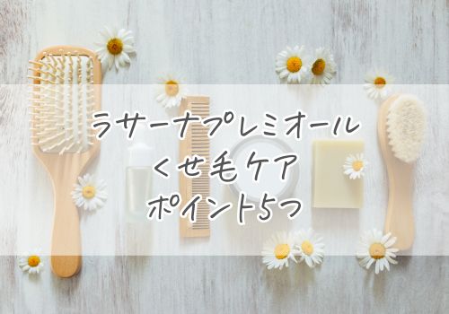 ラサーナプレミオールを使ったくせ毛ケアのポイント5つ