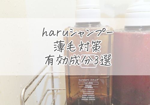 haruシャンプーの薄毛に有効な成分3選